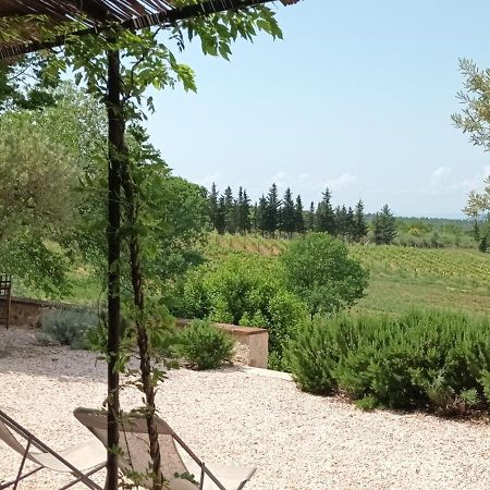 Bastide Au Milieu Des Vignes Et Des Oliviers Aups Villa Екстериор снимка