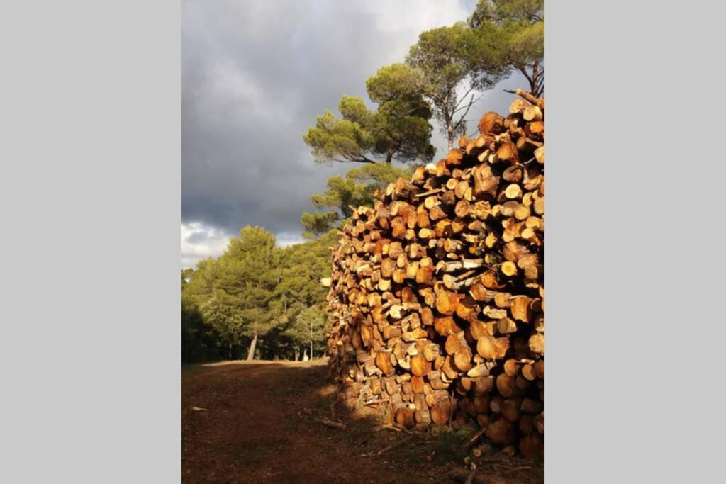 Bastide Au Milieu Des Vignes Et Des Oliviers Aups Villa Екстериор снимка