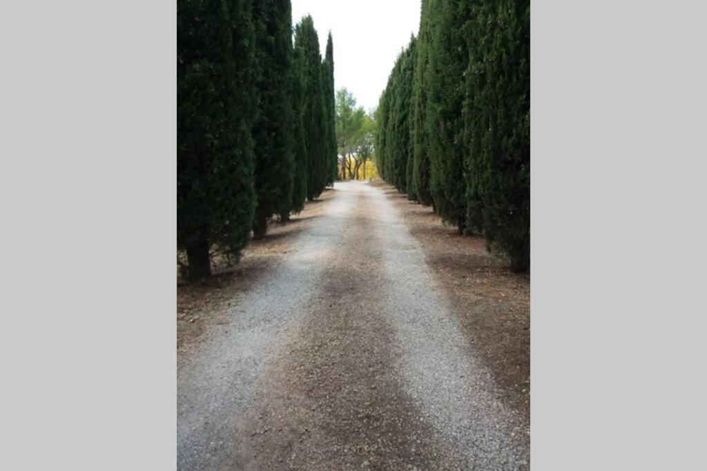 Bastide Au Milieu Des Vignes Et Des Oliviers Aups Villa Екстериор снимка