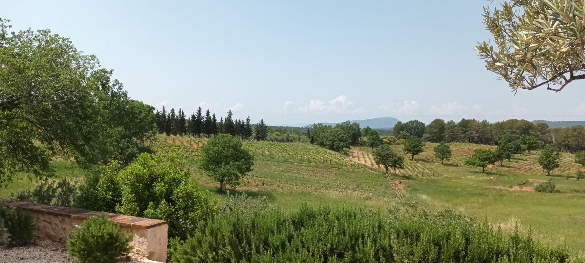 Bastide Au Milieu Des Vignes Et Des Oliviers Aups Villa Екстериор снимка